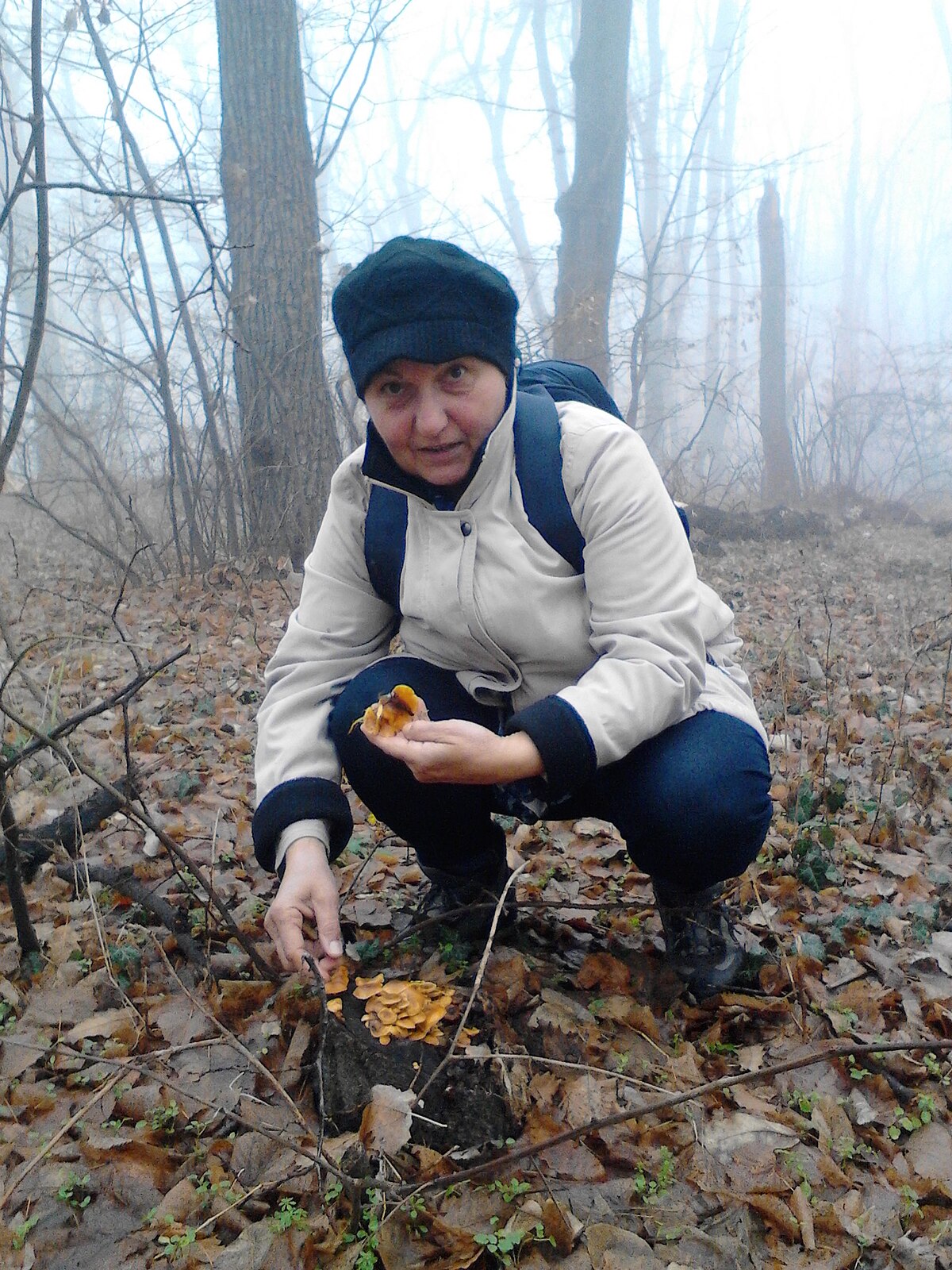 A forager crouching in a misty forest examining wild mushrooms