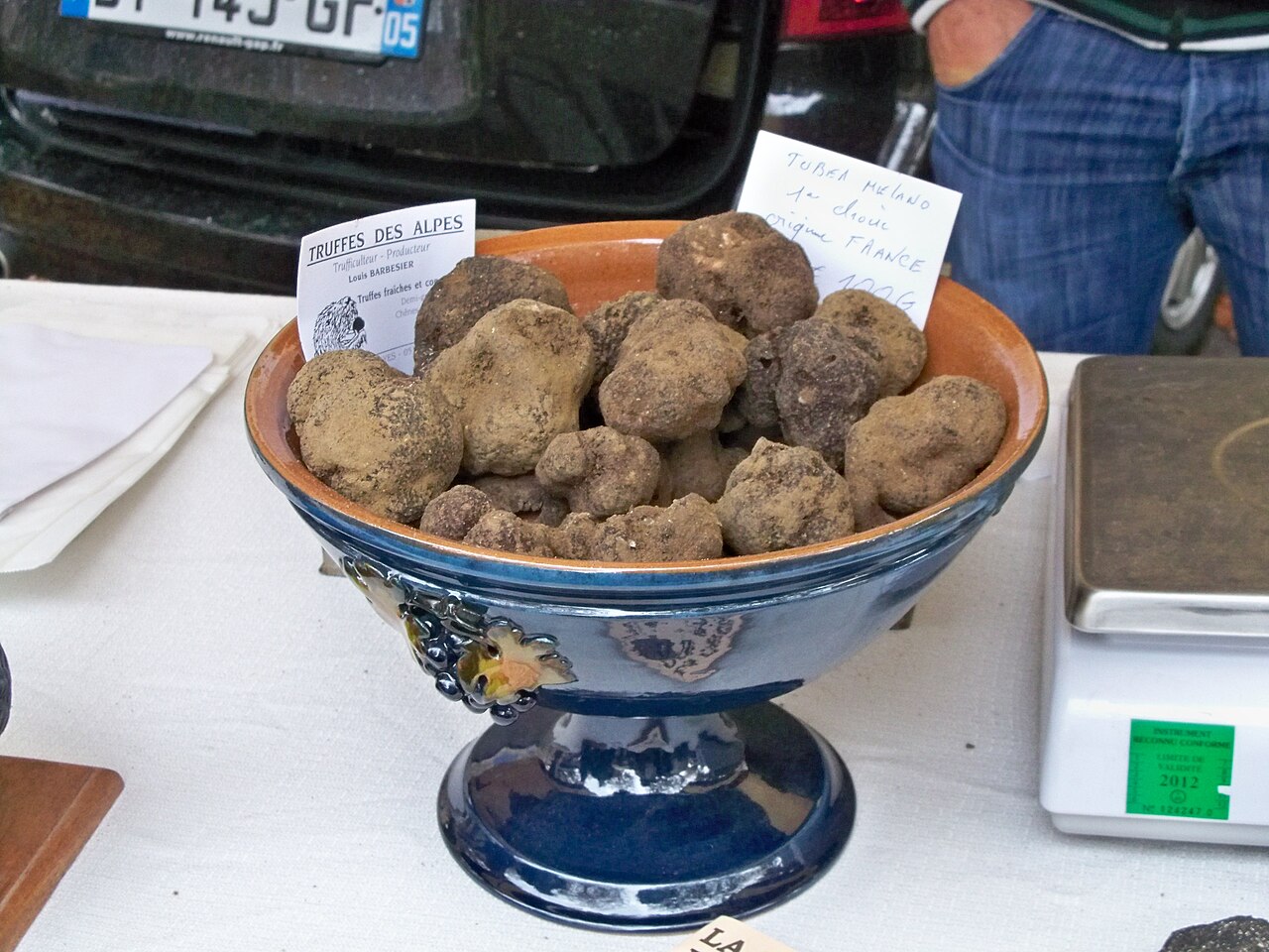 Tuber melanosporum (Périgord black truffle) showing its dark warty exterior
