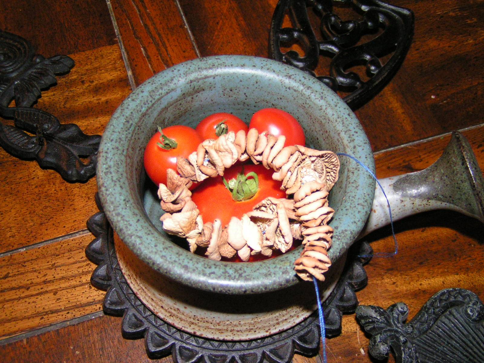 Fairy Ring Mushroom stem, ring, and base detail