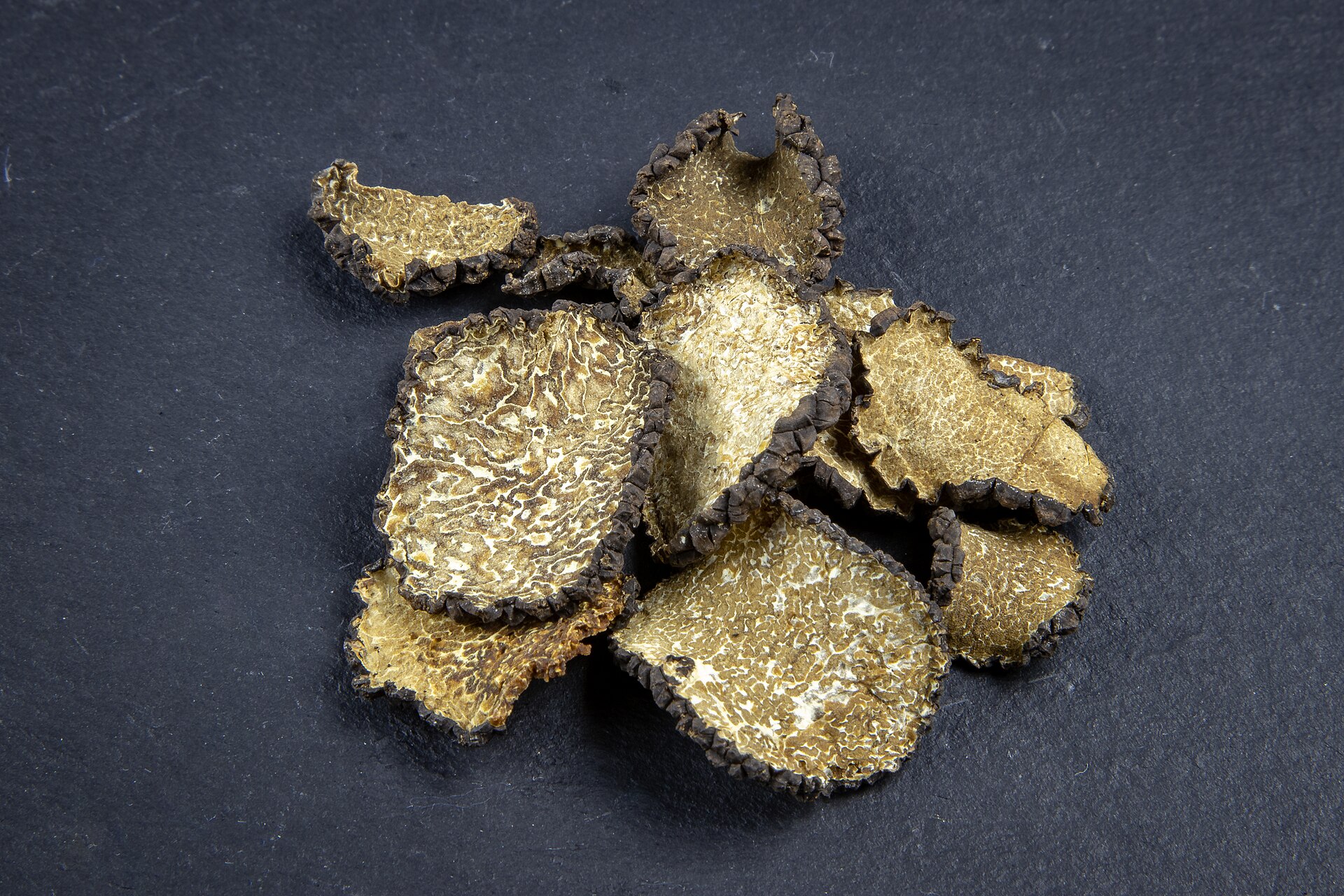 Summer Truffle (Tuber aestivum) wild specimen