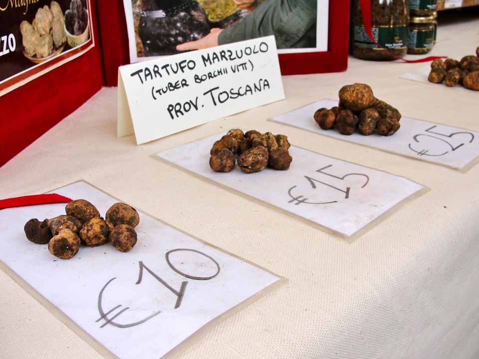 Bianchetto Truffle (Tuber borchii) at Italian truffle market with price labels